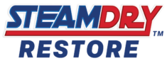 SteamDRY Restore