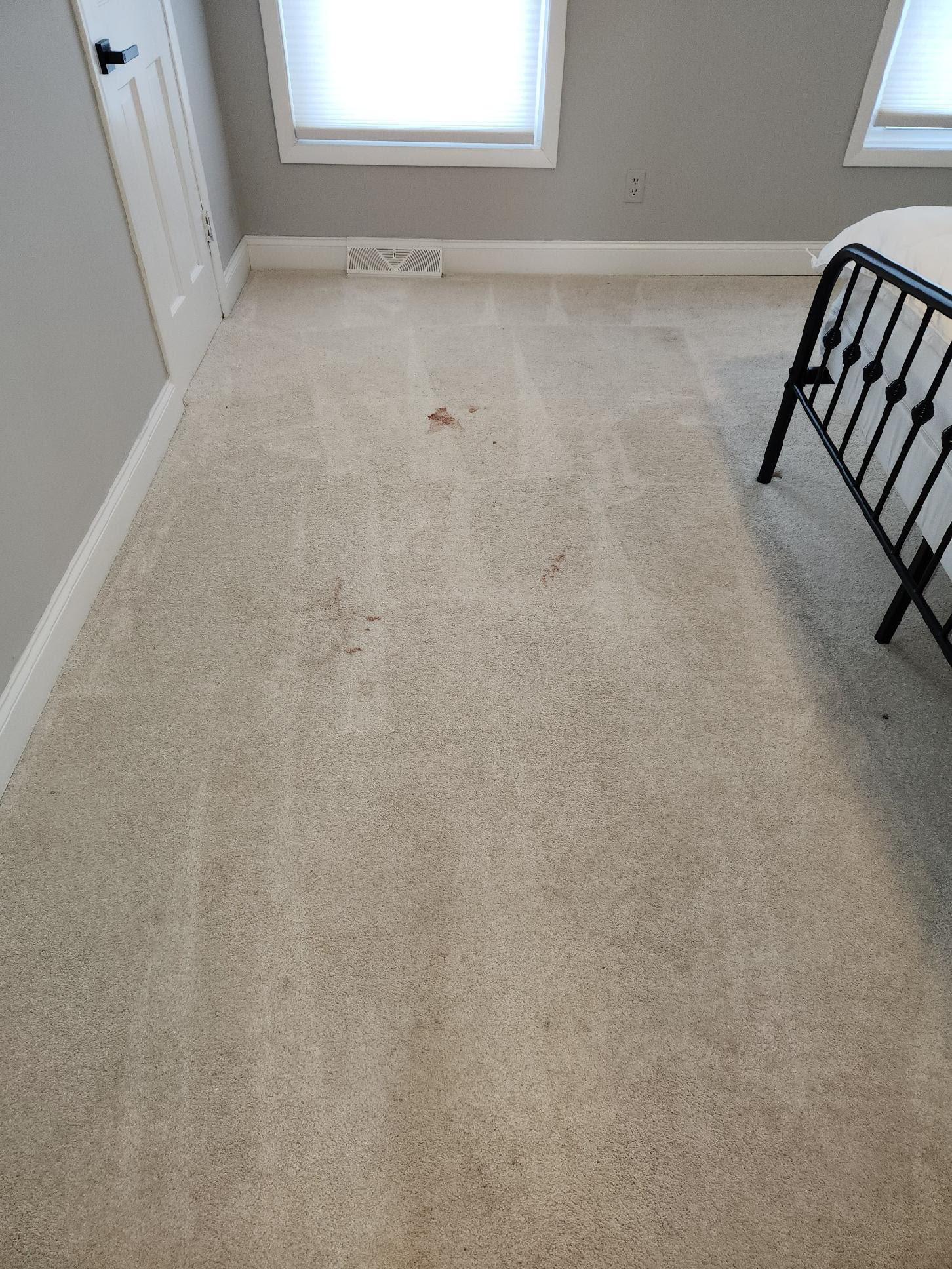 Before cleaning