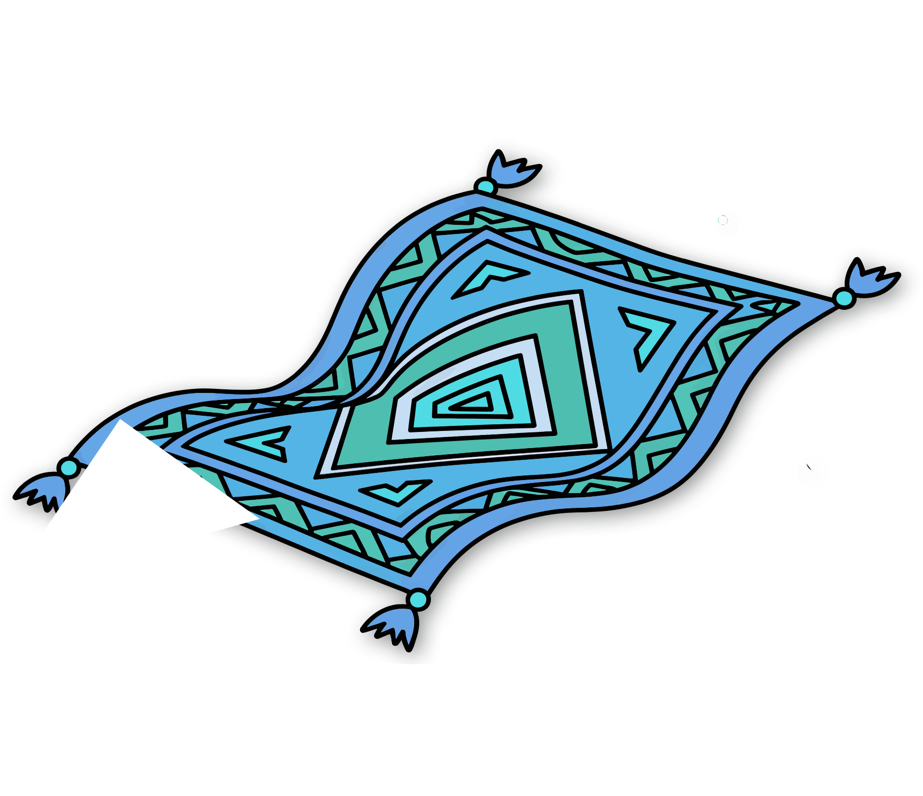 Area Rug Washing