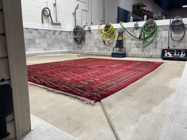 Rug-Operation-2